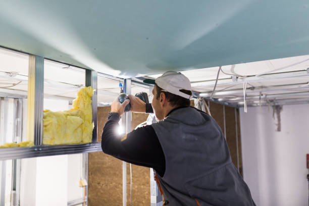 Best Energy-efficient Insulation  in River Bend, NC