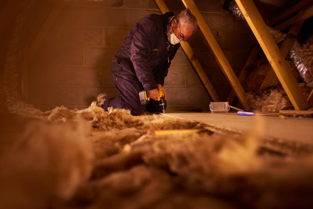 Best Wall Insulation Contractor  in River Bend, NC
